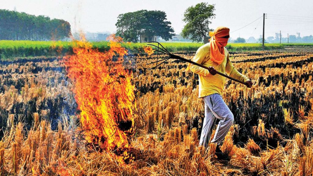 burning agriculture waste